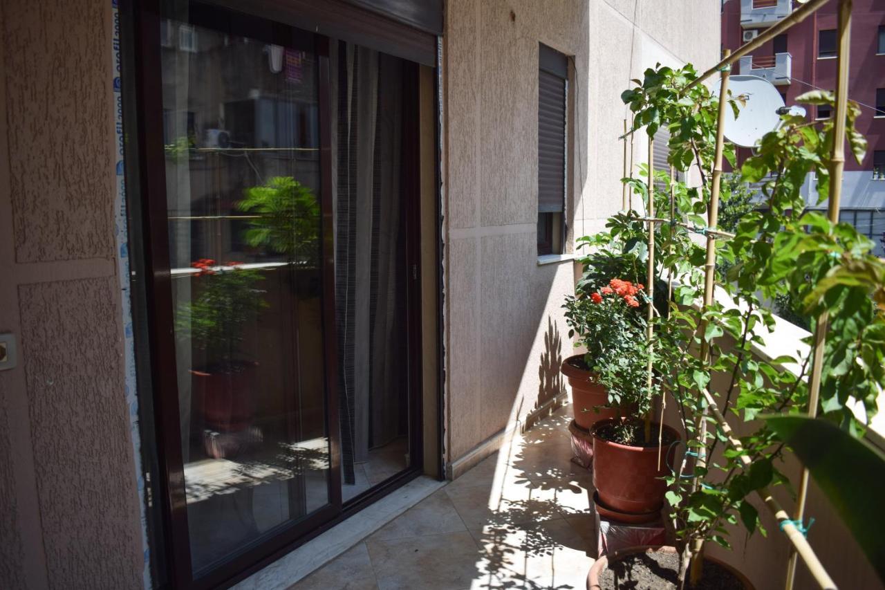 New Apartment Zoe Shkodër Dış mekan fotoğraf